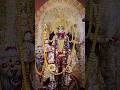 জগদ্ধাত্রী পূজা| Shishir Bagan Welfare Association,Behala Shishir Bagan Road,Kolkata-34 #shortsfeed