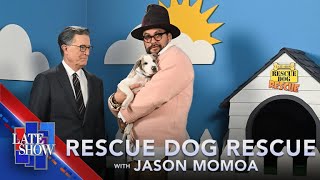 Rescue Dog Rescue with Jason Momoa