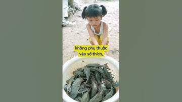 Ăn Cá Lau Kiếng Có Bị Ngộ Độc Không? | Bác Sĩ AI #shost