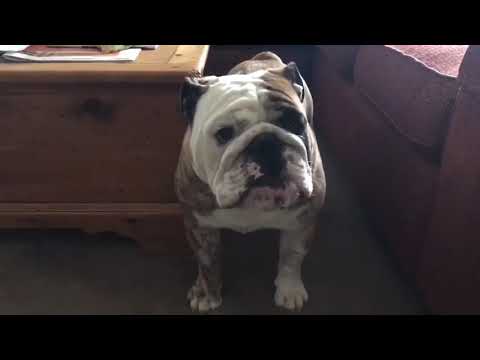 არ ვიცი და რა ვქნაა!