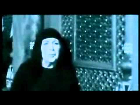 محمد محى مين هى