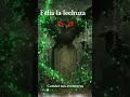 Felia la lechuza. Novela para 2do. ciclo nivel primario|Secundario.