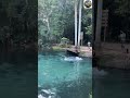 💧 Beautiful Natural Water Scene 🌿✨ | Most Relaxing Nature Video #Shorts