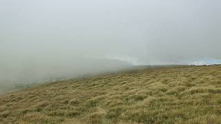 Vreme... Transalpină.