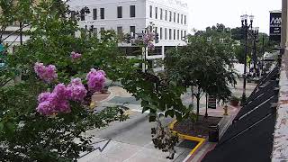 LIVE Downtown DeLand | South Woodland Blvd | 2026-07-30 6 PM ET