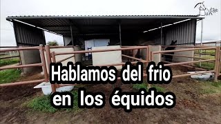 Hablamos del frio en los équidos... caballos mulos burros