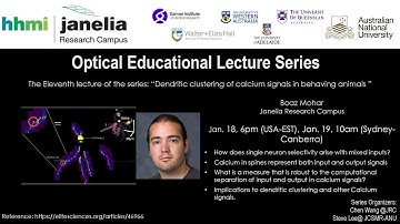 OIG-ABG- Lecture 11- Dendritic clustering of calcium signals in behaving animals