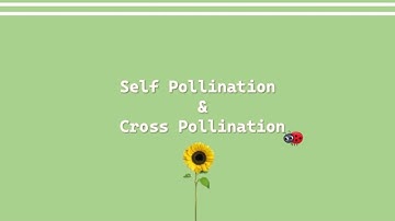 ~Difference between Self Pollination & Cross Pollination~
