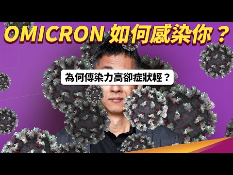 感染 Omicron 多為輕症的原因？細胞感染實驗揭開謎底！