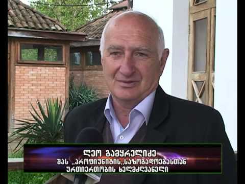 სამთოელის გზა-იმერვიზია 2015