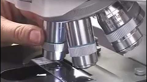 Rapid Diagnostics by Genotyping