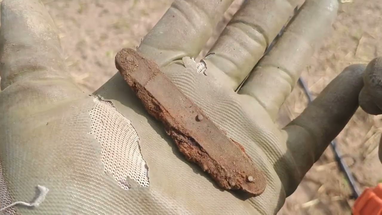 Procházka s detektorem 390.díl