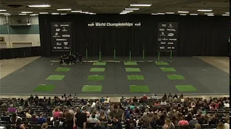 MBI Winter Guard 2015
