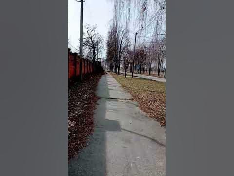 размышления, - YouTube
