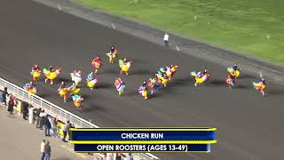 May 10, 2025 - Chicken Run Heat 5 - Roosters