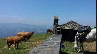 La Mesa Asturias 2
