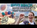 Envy Bay! Chased by the Tide  Beach-Box GIVEAWAY Tiny Treasures!