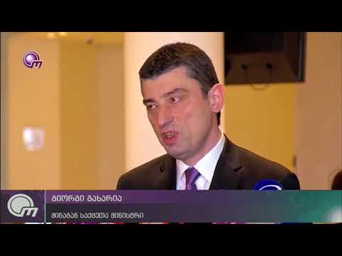 გენდერული თანასწორობის საბჭომ სამოქმედო გეგმა დაამტკიცა