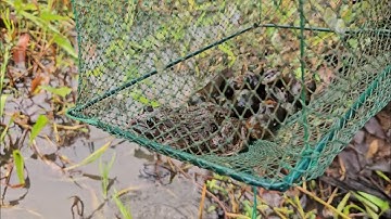 Thăm Lú Cửa Ngục Ở Đường Kênh Cạn