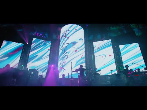  『花になって』Live Video