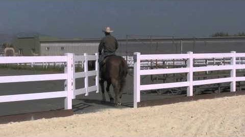 Teaching a horse to open a gate