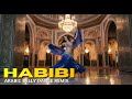 Arabic Belly Dance Remix Carnival Motion Groove Dynamic Oriental Party Rhythm 