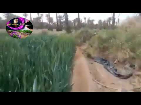 الشعر و الطبيعة غذاء للروح ( الشاعر محند نعتي)