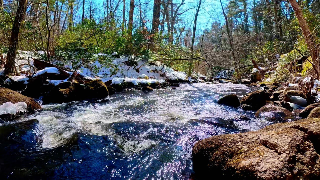 Dimpling Stream A Forest Stream with the Sounds of Water Flowing for Relaxing White ...