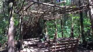 Primitive shelter update