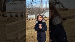 Köyde Bir Gün #köy #doğa #hayvanlar #çocuk #stem #yaşam #koyun #eğitim