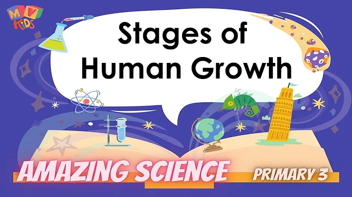 P. 3 | Science | Stages of Human Growth - DayDayNews