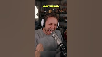 #стинт #стинтик #stint #stintik #твич #стрим #стример