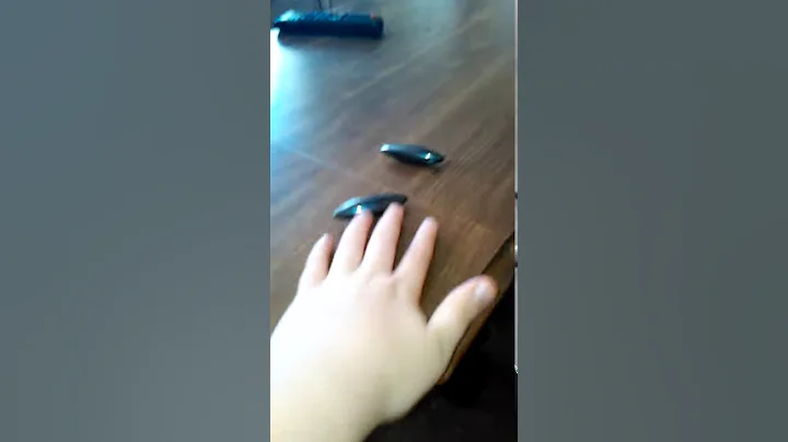 Magnet