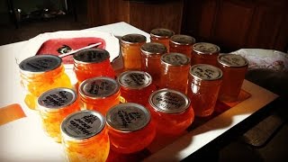 Canning for Newbies: EASY Peach Apple Jelly made from Bottled Juice
