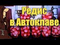 Обалденный Маринованный Редис (Редиска Маринованная) в Автоклаве на зиму, рецепты для Автоклава