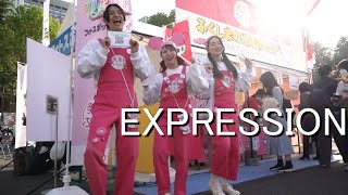 Soul of Japan Video Trailer