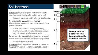 2.2 Soil Formation & Erosion | Unit 2 | AP Environmental Science