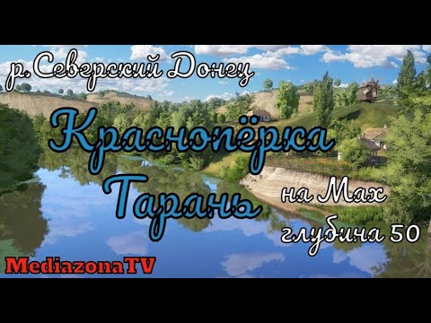 Рр3 красноперка волга