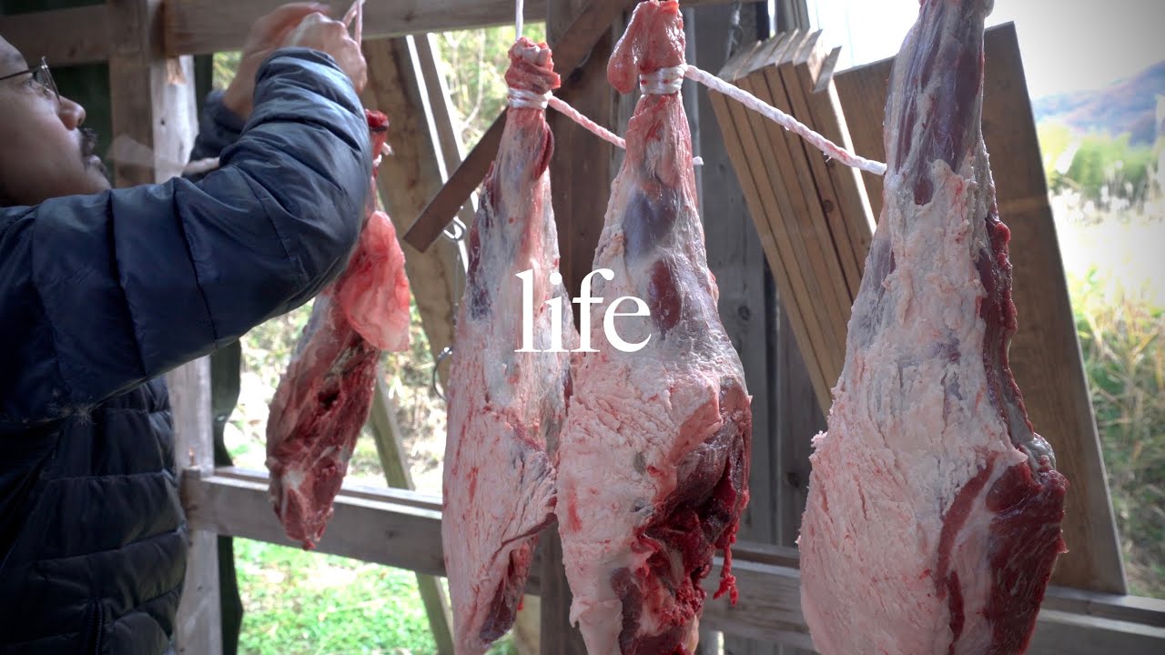 Момент из жизни №17: Как съесть свежее мясо японского кабана