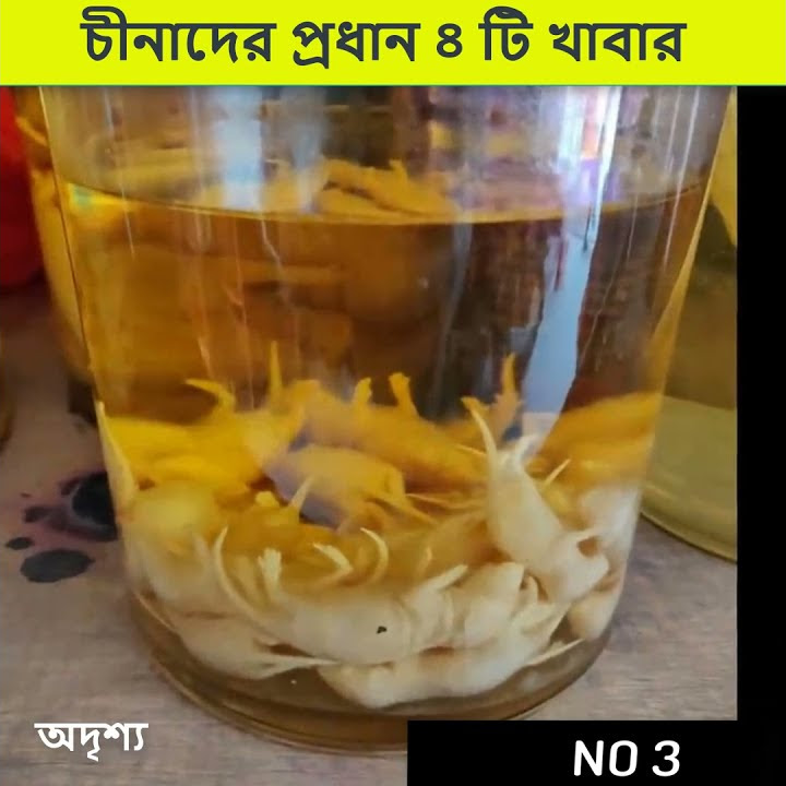 Top 4 Strange Foods In China top-4-strange-foods-in-china