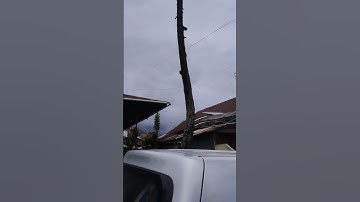 Bangunan Bersejarah "Rumah Kepala Sekolah dan Bangunan Lainya disekitar  Kweek School Fort de Kock"