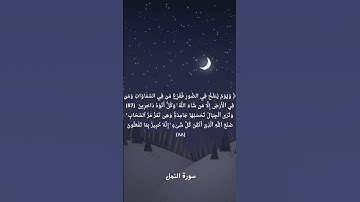 ما تيسر من سورة النمل-الشيخ  ياسر الدوسري  #quran #قران_كريم  #راحة_نفسية #islam #islamic