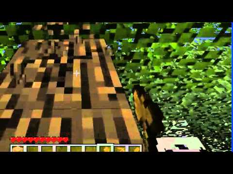 Minecraft Tutorial 01 Kaip likti gyvam jusu pirmaja nakti