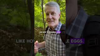 Celebrity Socratic Stroll 106: Why listen to experts? Net Worth