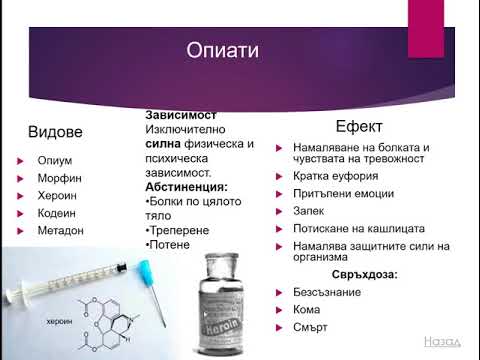 Видео: Сексуален диморфизъм след In Vitro исхемия в отговор на невростероиди и механизми на нараняване