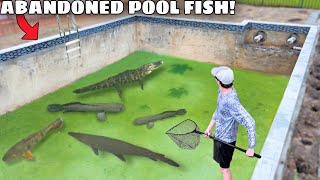 Saving Fish LIVING in ABANDONED POOL! screenshot 5