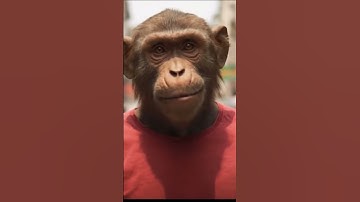 Family Vlogger 😂🤣#ai  #funny #ai ##funnyanimal #comedy #aimonkeyvlog#funnymonkey #funnymonkey