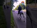 Полиция за мигрантами — на лошадях!