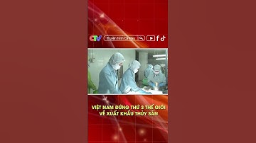 VIỆT NAM ĐỨNG THỨ 3 THẾ GIỚI VỀ XUẤT KHẨU THỦY SẢN #shorts