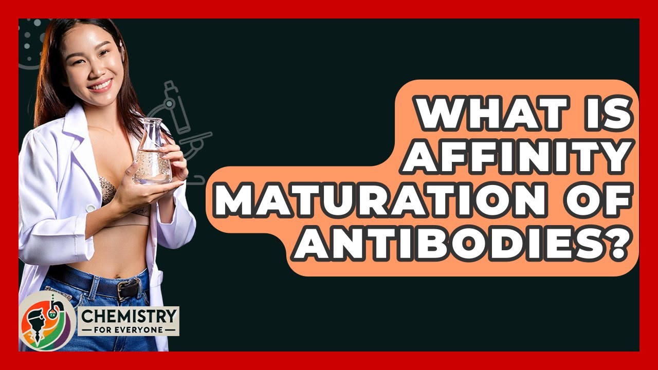 What Is Affinity Maturation Of Antibodies? - Chemistry For Everyone